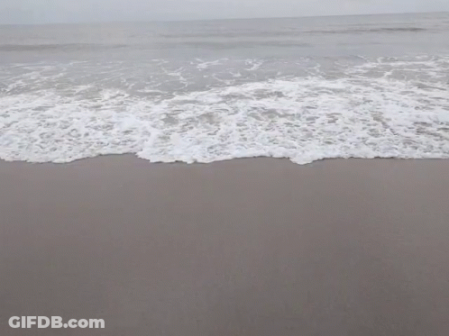 Waves Crashing On Sandy Beach With Foam GIF