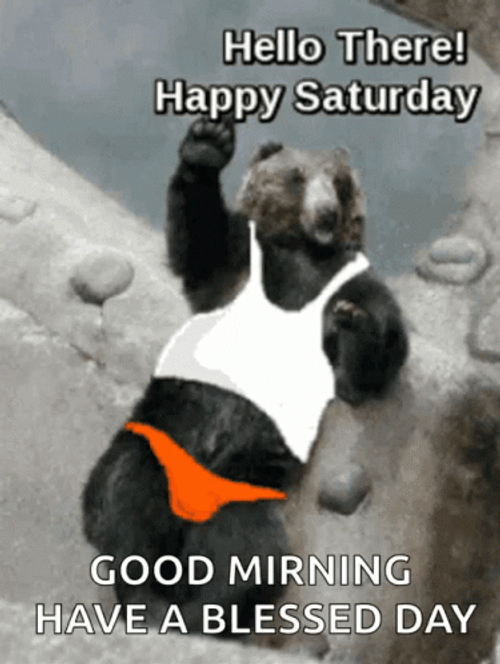 Waving Bear Saturday Blessings GIF