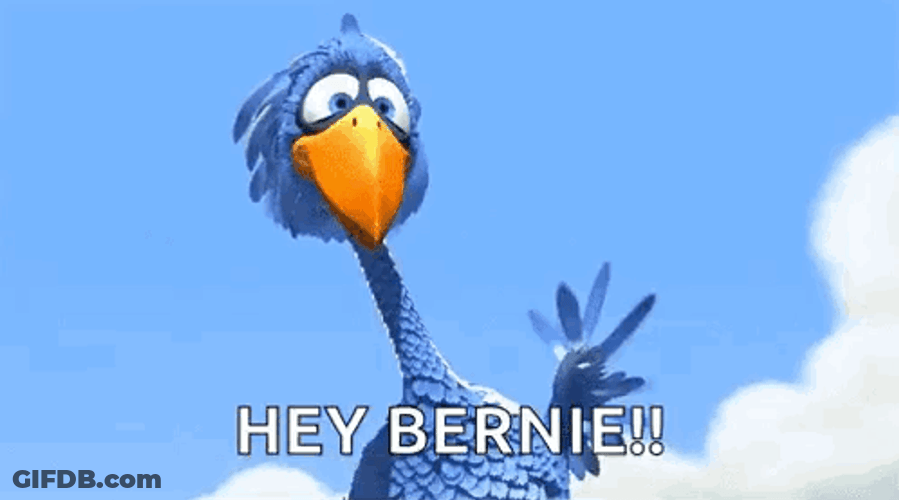 Waving Bird Hey Bernie GIF