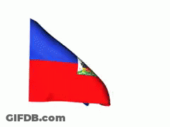 Waving Blue Red White Flag GIF