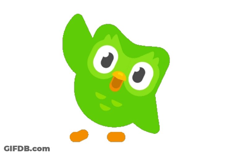 Waving Duolingo Saying Hi GIF