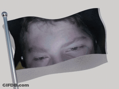 Waving Flag With Face GIF