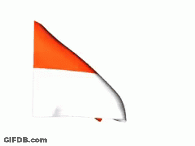 Waving Monaco Flag GIF
