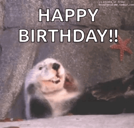Waving Otter Funny Happy Birthday Meme GIF