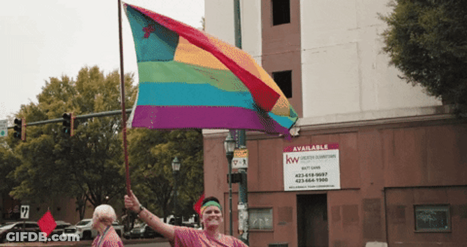 Waving Pride Flag GIF