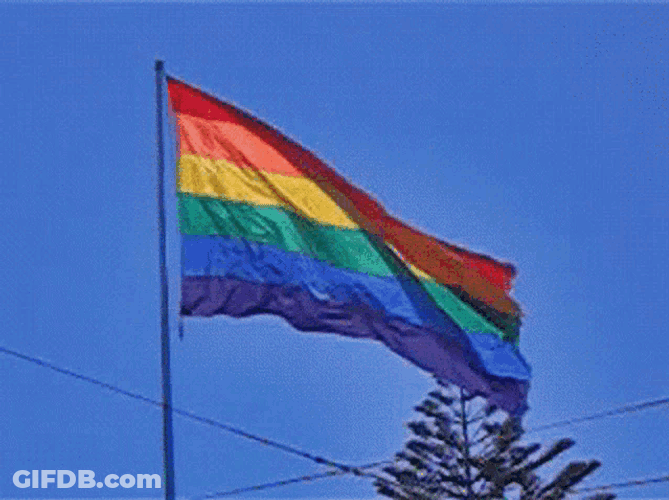 Waving Pride Flag Lgbtq GIF