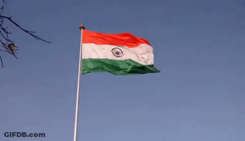 Waving Red White Green Flag GIF