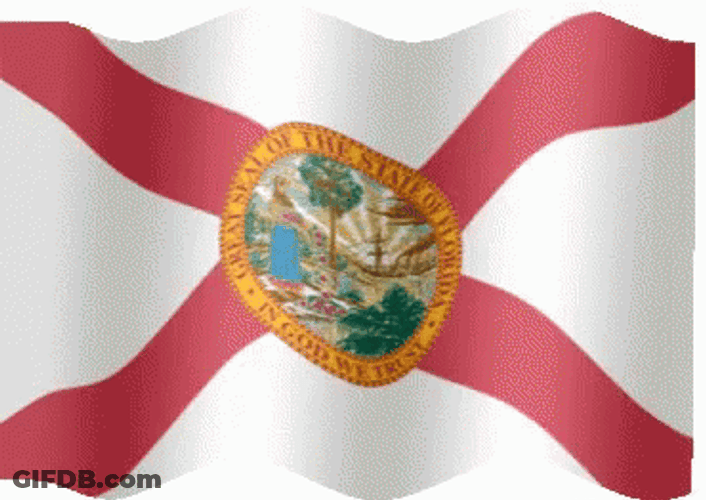 Waving State Of Florida Flag GIF