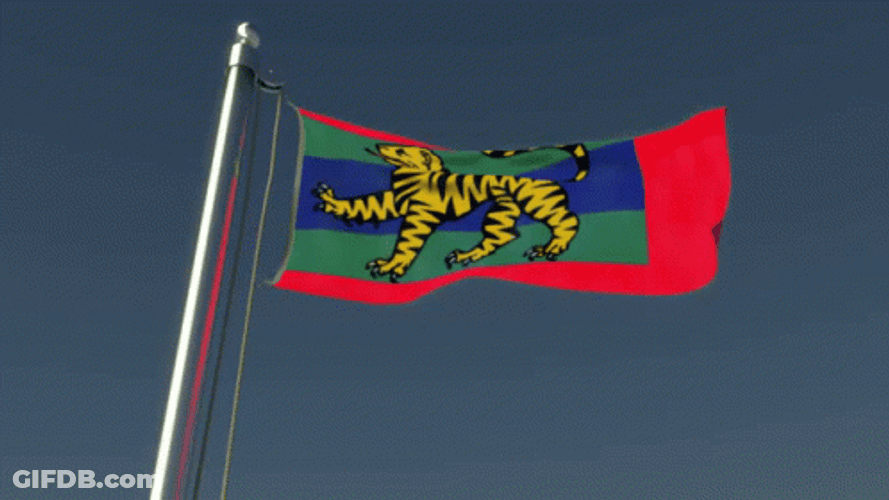 Waving Tiger Flag GIF
