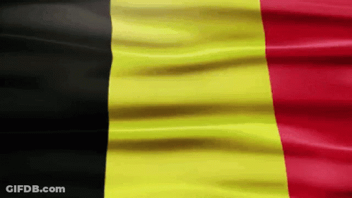 Waving Yellow Red Black Striped Flag GIF