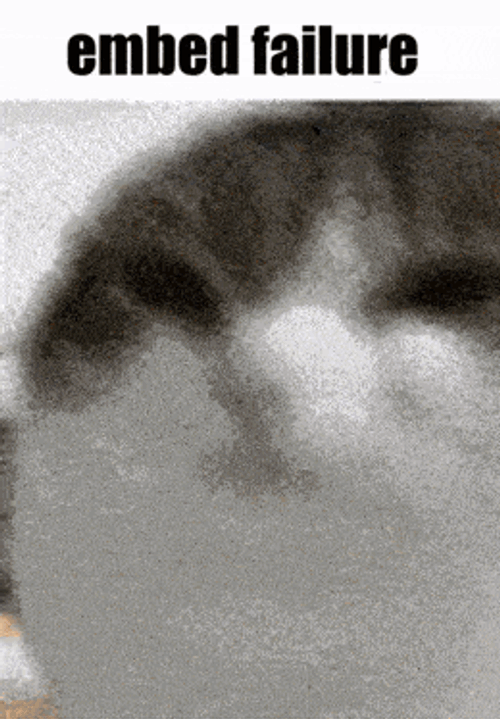 Wawa Emdeb GIF GIF