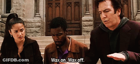 Wax On Wax Off GIF