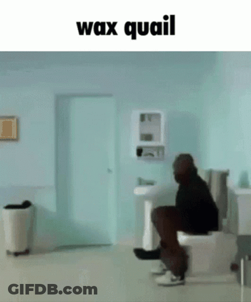 Wax Quail Explosive Diarrhea Meme GIF
