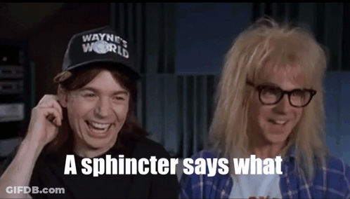 Wayne 'S World And A Sphincter Says What GIF