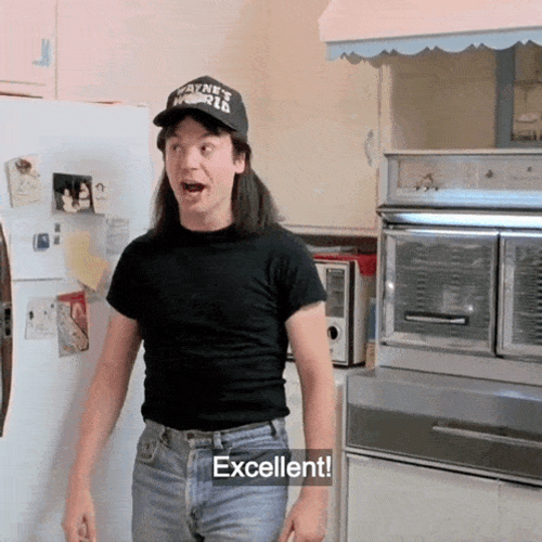 Waynesworld Waynes World GIF