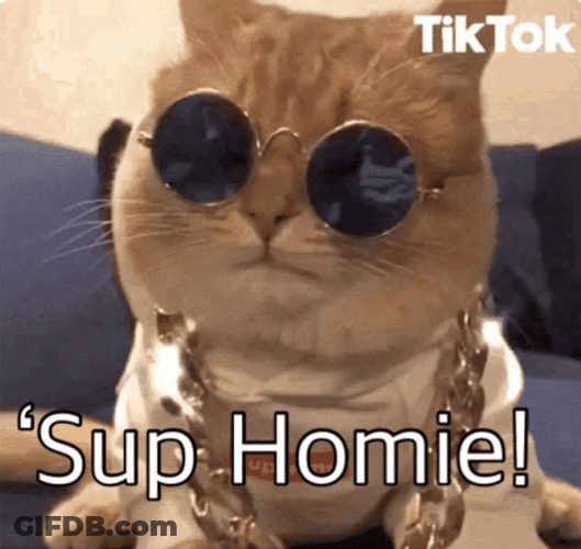 Wazzup GIF