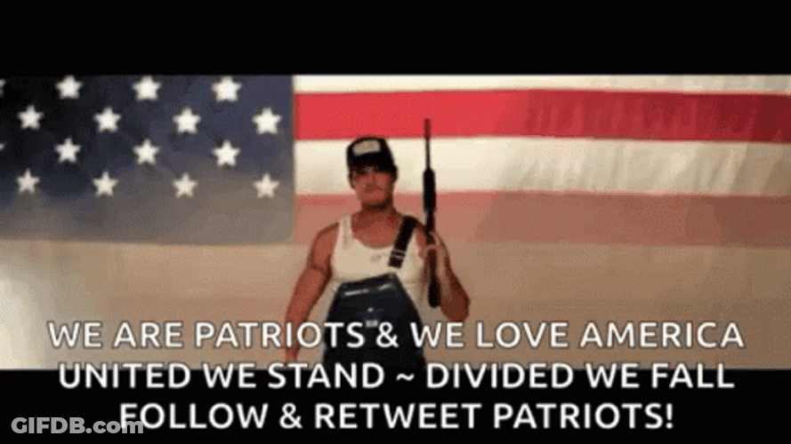 We Are Patriot We Love America GIF