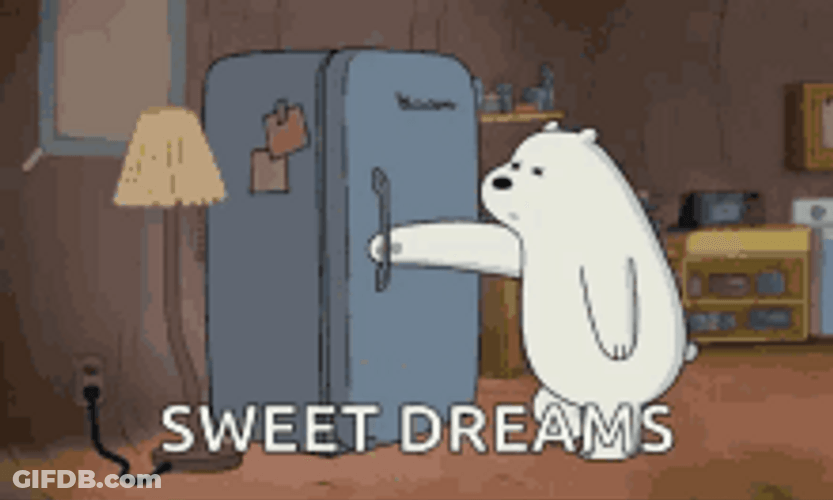 We Bare Bears Ice Sleep Inside Fridge GIF