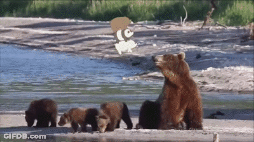 We Bare Bears Travel Walking GIF