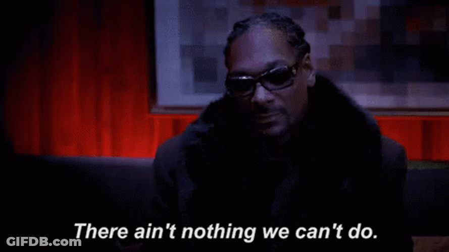 We Can Do It Snoop Dogg GIF