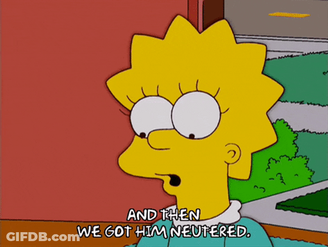 We Got Him Lisa Simpson GIF