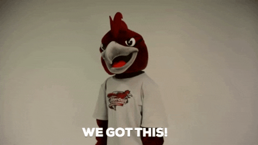 We Got This Ramapo College GIF