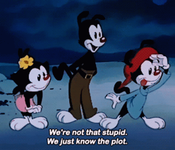 We Just Know The Plot Yakko Warner GIF