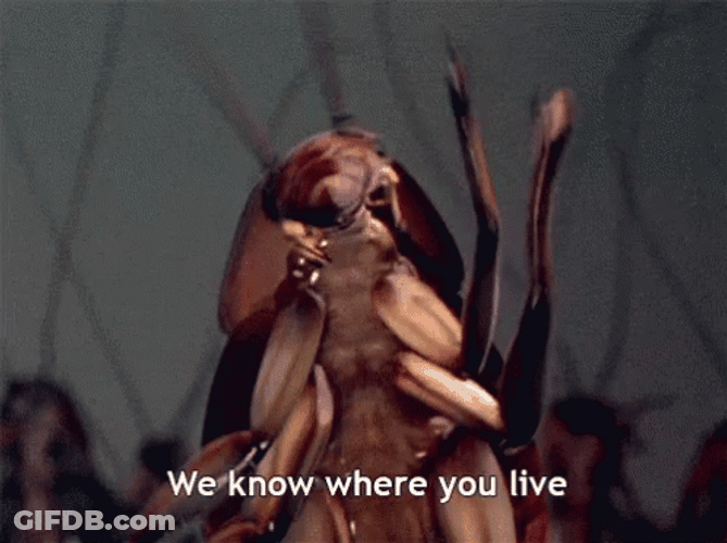 We Know Where You Live Roach GIF