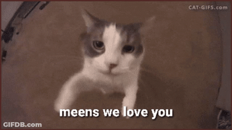 We Love You GIF