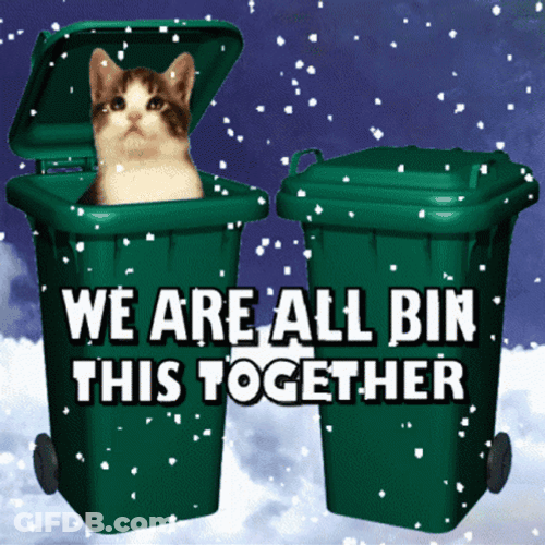 We're All In This Together Cats Bins Meme GIF