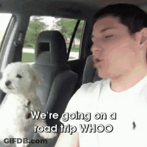 We're Going On Road Trip Whoo GIF