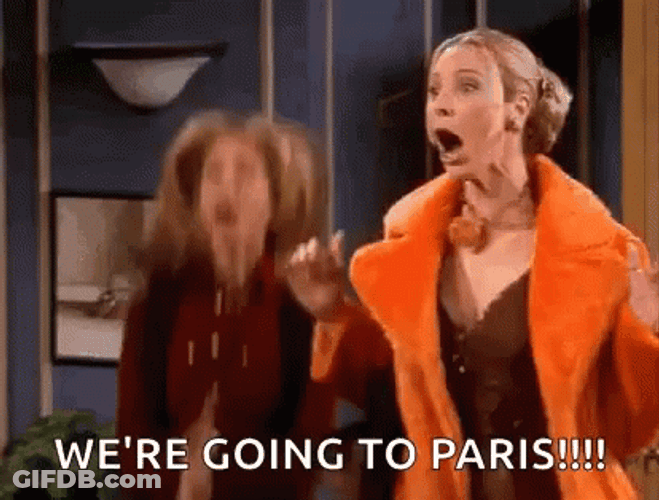 We're Going To Paris GIF