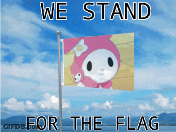 We Stand For The Flag GIF