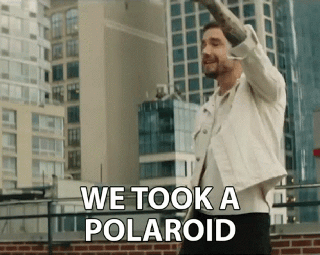 We Took A Polaroid Song GIF