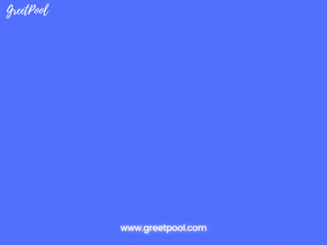 We Will Miss You Sea Creatures GIF
