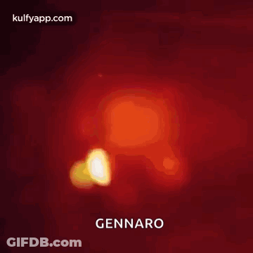 We Wish You A Very Happy New Year . GIF