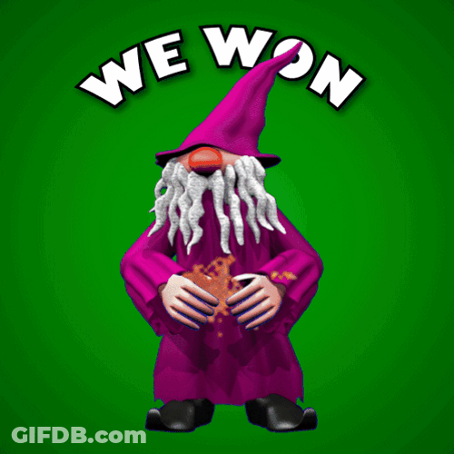 We Won England Wizard GIF