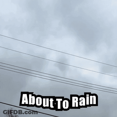 Weatherman Wannabe Making Prediction GIF
