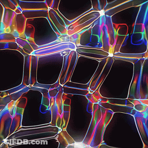 Web-Like Colorful Optical Illusion GIF