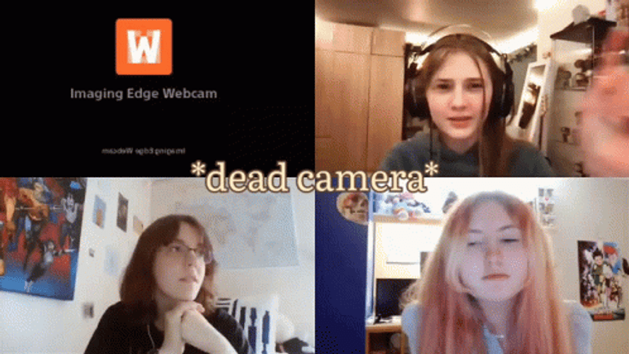 Webcam Meeting Logo GIF