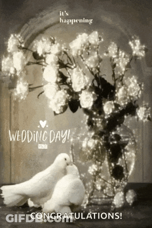Wedding Day GIF