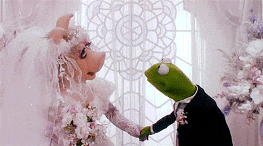 Wedding Kiss Kermit Piggy GIF