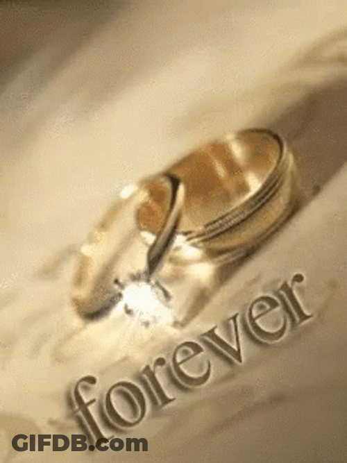 Wedding Rings Forever GIF