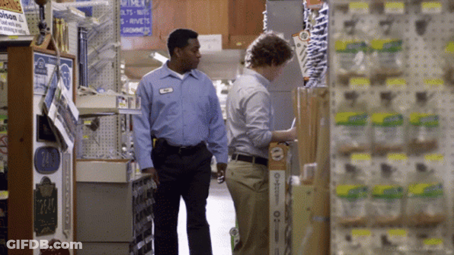 Wedgie In The Bookshop GIF