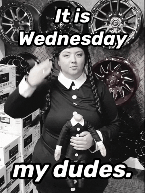 Wednesday Addams Fans Portray GIF