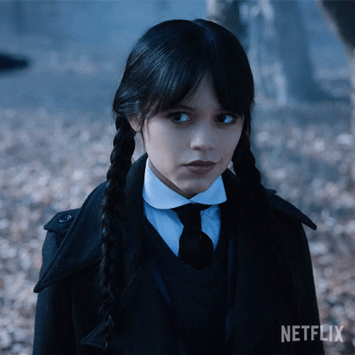 Wednesday Addams Wicked Smile Meme GIF