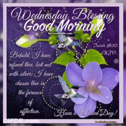 Wednesday Blessing Good Morning Greeting Card With Purple Flowers GIF