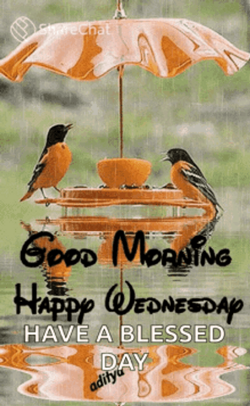 Wednesday Blessings Date Good Morning Birds GIF
