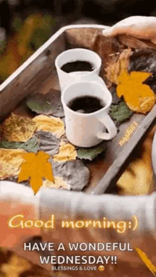 Wednesday Blessings Fall Season Coffee Wonderful Day GIF