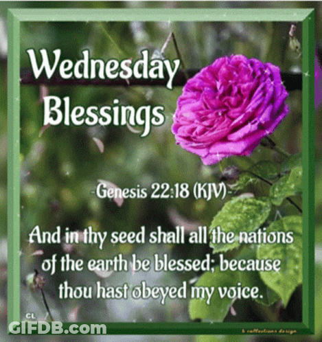 Wednesday Blessings From Genesis 22:18 KJV GIF